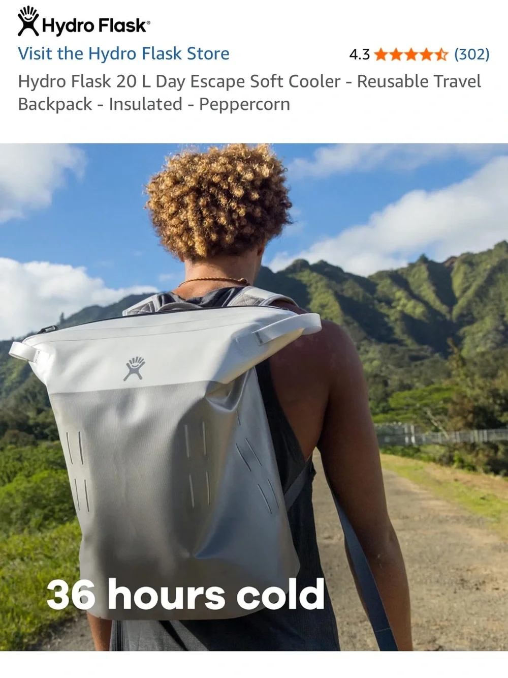 Hydro Flask 20L Day Escape soft cooler backpack Talus